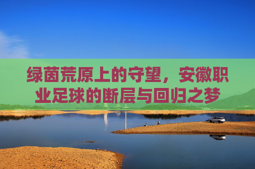 绿茵荒原上的守望,安徽职业足球的断层与回归之梦