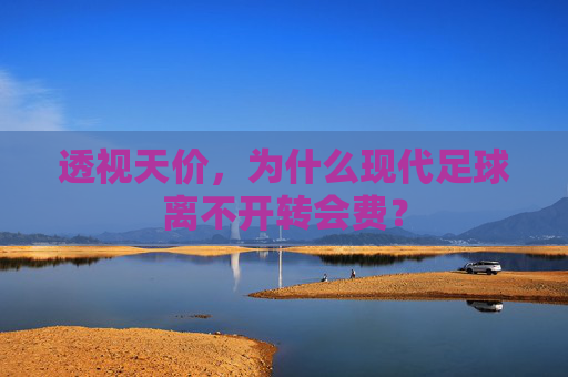 透视天价,为什么现代足球离不开转会费?
