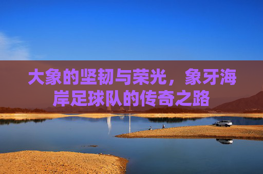 大象的坚韧与荣光,象牙海岸足球队的传奇之路