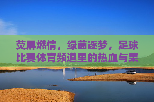 荧屏燃情,绿茵逐梦,足球比赛体育频道里的热血与荣耀
