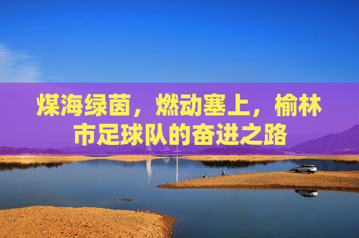 煤海绿茵,燃动塞上,榆林市足球队的奋进之路