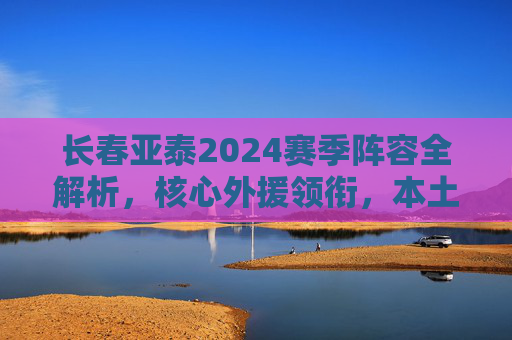 长春亚泰2024赛季阵容全解析,核心外援领衔,本土球员蓄势待发