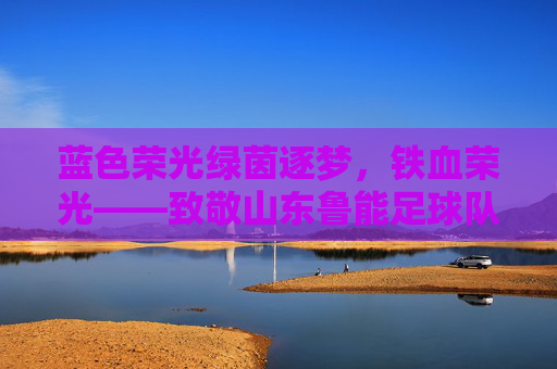 蓝色荣光绿茵逐梦,铁血荣光——致敬山东鲁能足球队员