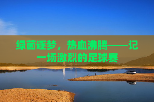 绿茵逐梦，热血沸腾——记一场激烈的足球赛