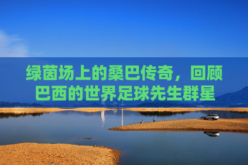 绿茵场上的桑巴传奇,回顾巴西的世界足球先生群星