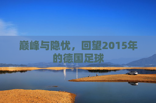 巅峰与隐忧,回望2015年的德国足球