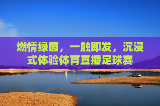 燃情绿茵，一触即发，沉浸式体验体育直播足球赛