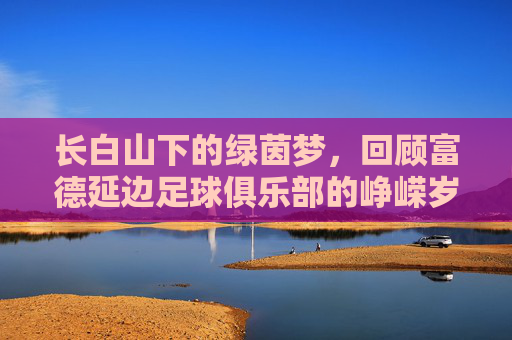 长白山下的绿茵梦,回顾富德延边足球俱乐部的峥嵘岁月
