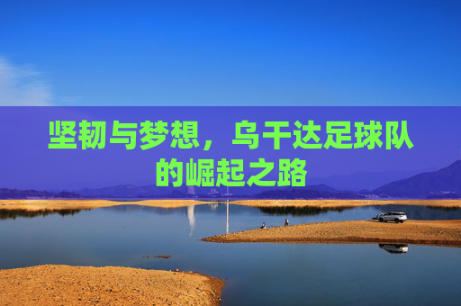 坚韧与梦想,乌干达足球队的崛起之路
