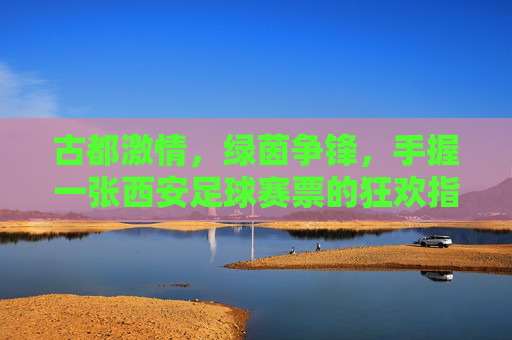 古都激情,绿茵争锋,手握一张西安足球赛票的狂欢指南