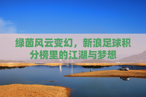 绿茵风云变幻,新浪足球积分榜里的江湖与梦想