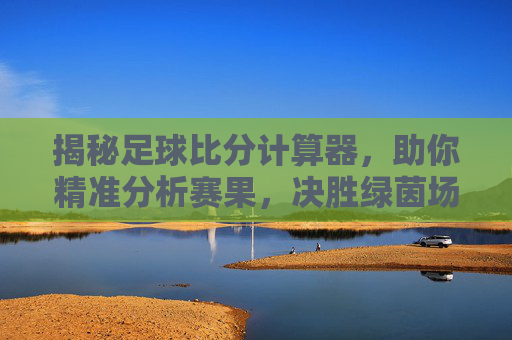揭秘足球比分计算器,助你精准分析赛果,决胜绿茵场