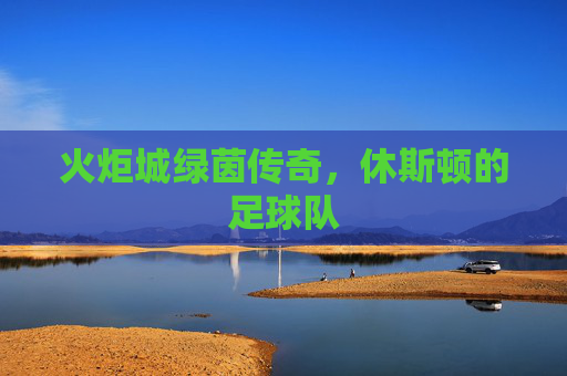 火炬城绿茵传奇，休斯顿的足球队