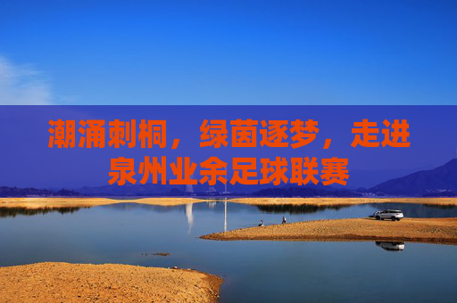 潮涌刺桐,绿茵逐梦,走进泉州业余足球联赛
