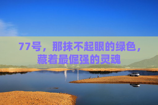 77号,那抹不起眼的绿色,藏着最倔强的灵魂