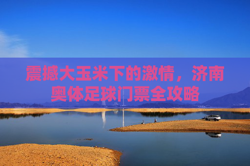 震撼大玉米下的激情,济南奥体足球门票全攻略
