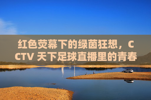红色荧幕下的绿茵狂想,CCTV 天下足球直播里的青春与热血