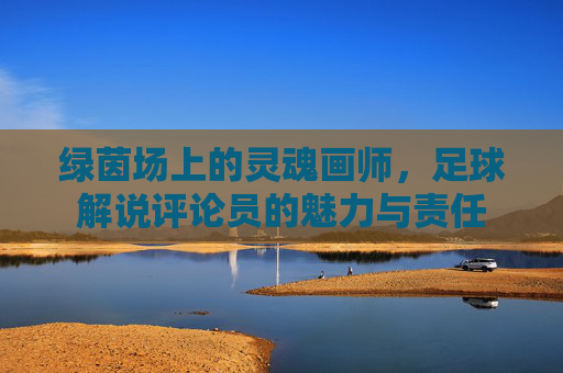 绿茵场上的灵魂画师，足球解说评论员的魅力与责任