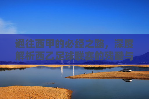 通往西甲的必经之路,深度解析西乙足球联赛的残酷与魅力
