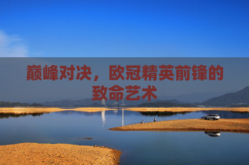 巅峰对决,欧冠精英前锋的致命艺术