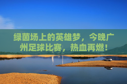 绿茵场上的英雄梦,今晚广州足球比赛,热血再燃!