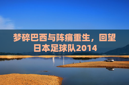 梦碎巴西与阵痛重生,回望日本足球队2014