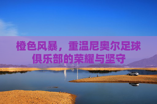 橙色风暴，重温尼奥尔足球俱乐部的荣耀与坚守