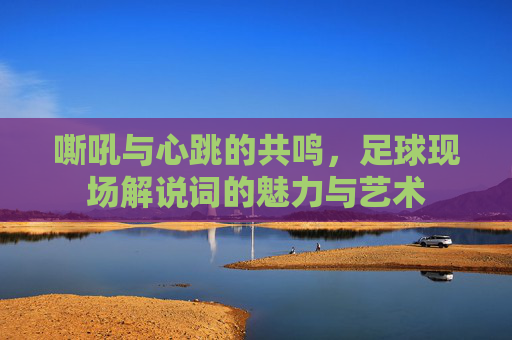 嘶吼与心跳的共鸣，足球现场解说词的魅力与艺术