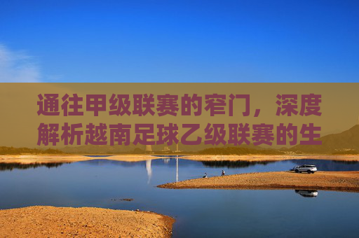 通往甲级联赛的窄门，深度解析越南足球乙级联赛的生存法则与未来图景
