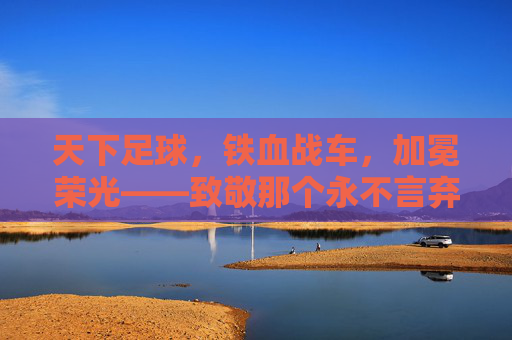 天下足球,铁血战车,加冕荣光——致敬那个永不言弃的德国梦