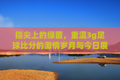 指尖上的绿茵,重温3g足球比分的激情岁月与今日展望