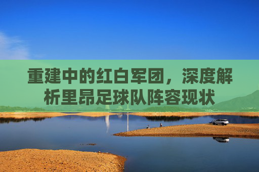 重建中的红白军团,深度解析里昂足球队阵容现状