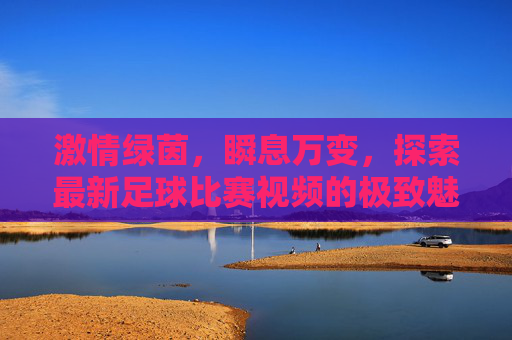 激情绿茵,瞬息万变,探索最新足球比赛视频的极致魅力