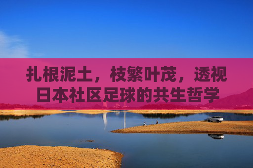 扎根泥土,枝繁叶茂,透视日本社区足球的共生哲学