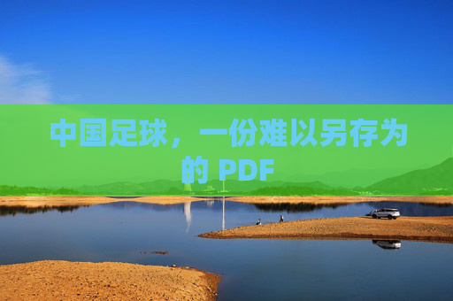 中国足球,一份难以另存为的 PDF