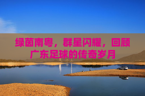 绿茵南粤,群星闪耀,回顾广东足球的传奇岁月