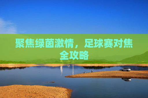 聚焦绿茵激情,足球赛对焦全攻略