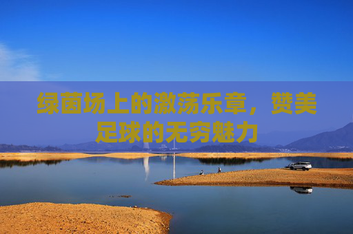 绿茵场上的激荡乐章,赞美足球的无穷魅力