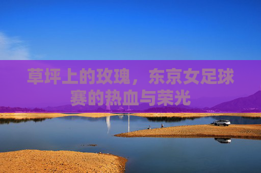草坪上的玫瑰，东京女足球赛的热血与荣光