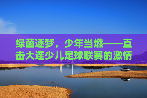 绿茵逐梦,少年当燃——直击大连少儿足球联赛的激情时刻