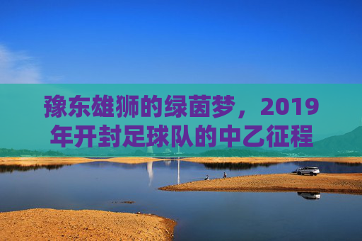 豫东雄狮的绿茵梦，2019年开封足球队的中乙征程