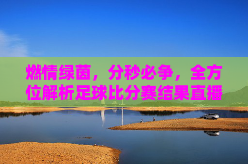 燃情绿茵,分秒必争,全方位解析足球比分赛结果直播体验