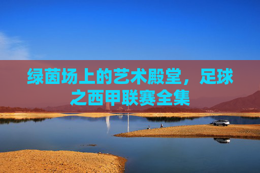 绿茵场上的艺术殿堂，足球之西甲联赛全集