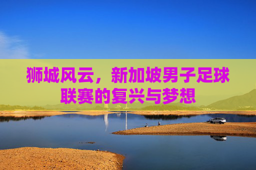 狮城风云,新加坡男子足球联赛的复兴与梦想