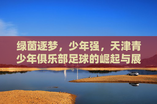 绿茵逐梦,少年强,天津青少年俱乐部足球的崛起与展望