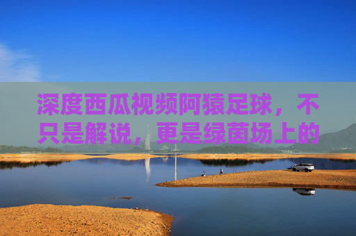 深度西瓜视频阿猿足球,不只是解说,更是绿茵场上的战术教科书