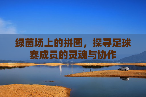 绿茵场上的拼图，探寻足球赛成员的灵魂与协作