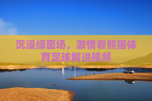 沉浸绿茵场,激情看熊猫体育足球解说视频