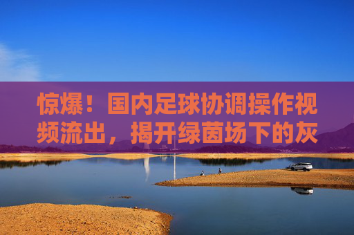 惊爆！国内足球协调操作视频流出，揭开绿茵场下的灰色地带