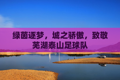 绿茵逐梦,城之骄傲,致敬芜湖泰山足球队